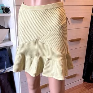 NWOT.Rachel Rachel Roy Mini Skirt
